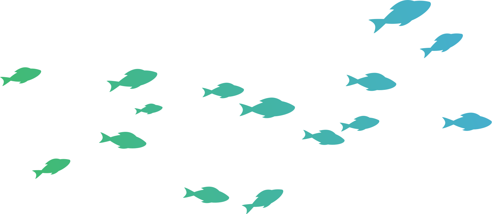 おさかな食堂 honu